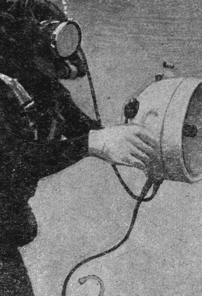 Ластоногие пловцы i_017.jpg