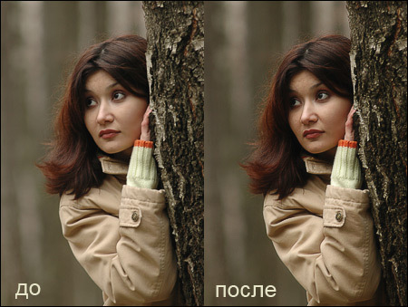 Учебник фотографа _66.jpg