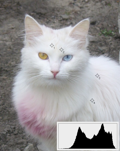 Учебник фотографа _115.jpg