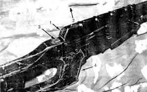 Искусство снайпера Image075.jpg