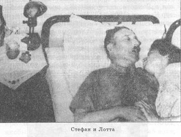Писатель и самоубийство. Том второй. i_013.jpg