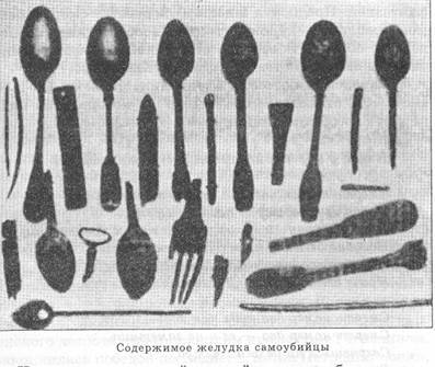 Писатель и самоубийство. Том первый i_037.jpg