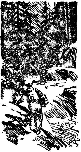 Загадка Большой тропы i_034.png