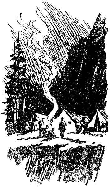 Загадка Большой тропы i_012.png