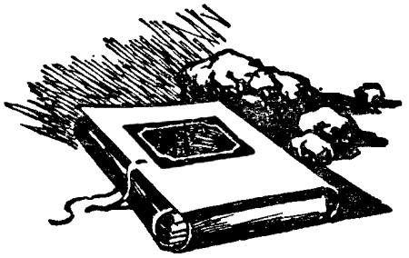Загадка Большой тропы i_018.png