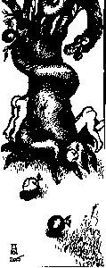 Homo amphibolos. Человек двусмысленный Археология сознания img3729.png