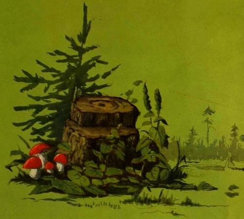 Колючая семейка i_013.jpg