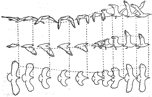 Братья Райт i_008.png