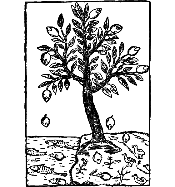 Человечек в колбе (с илл.) i_016.png