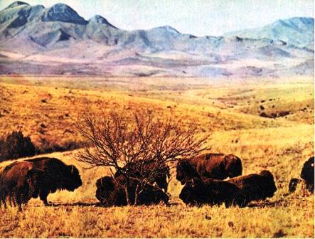 Северная Америка doc2fb_image_0200005A.jpg