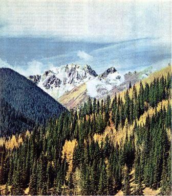 Северная Америка doc2fb_image_02000077.jpg