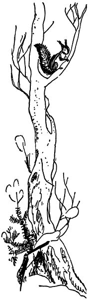 Черничные Глазки i_013.png