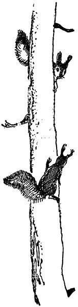 Черничные Глазки i_021.png
