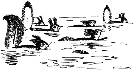 Черничные Глазки i_029.png