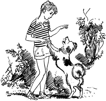 Черничные Глазки i_005.png