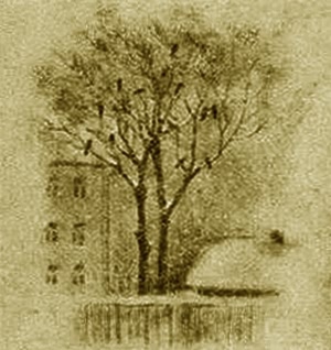 Грач. Галка. Сорока i_006.jpg