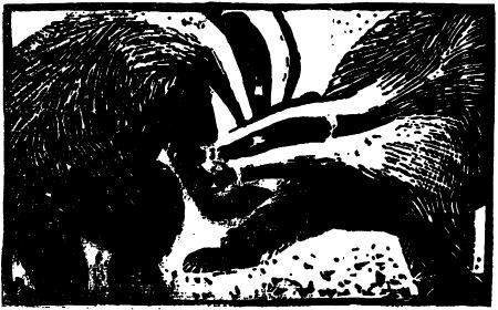 Фридолин, нахальный барсучок i_003.png