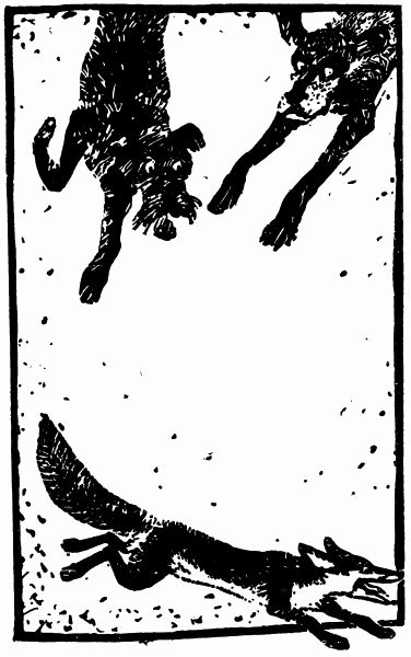 Фридолин, нахальный барсучок i_006.png