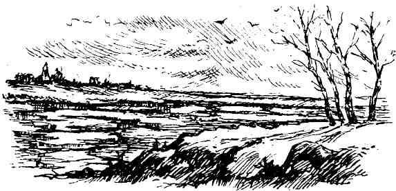 Петербургский изгнанник. Книга первая img_12.jpeg