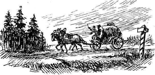Петербургский изгнанник. Книга первая img_15.jpeg