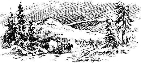 Петербургский изгнанник. Книга первая img_19.jpeg