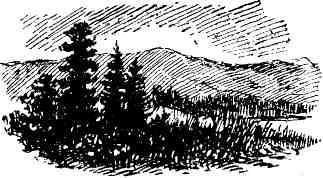 Петербургский изгнанник. Книга вторая img_7.jpeg