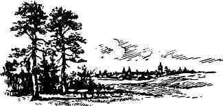 Петербургский изгнанник. Книга третья img_4.jpeg