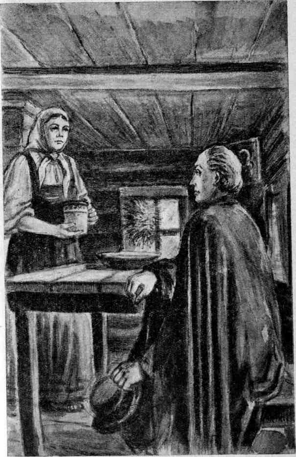 Петербургский изгнанник. Книга третья img_18.jpeg