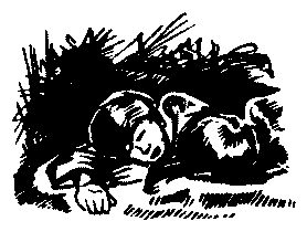 Буран pic19.png