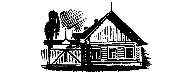 Буран pic20.png