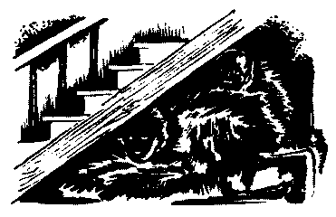 Буран pic08.png