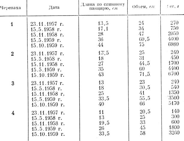 Зачарованные острова Галапагосы doc2fb_image_02000005.jpg