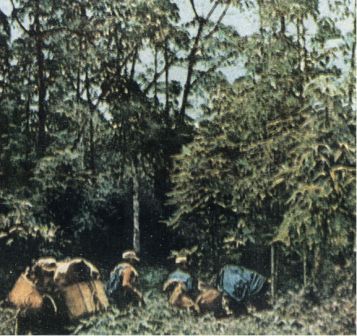 Зачарованные острова Галапагосы doc2fb_image_02000011.jpg