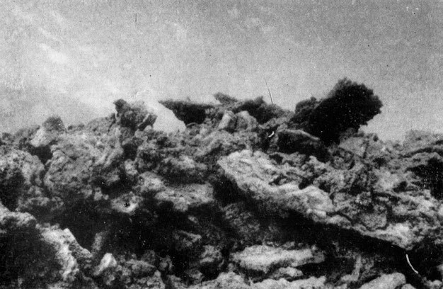 Зачарованные острова Галапагосы doc2fb_image_0200003A.jpg