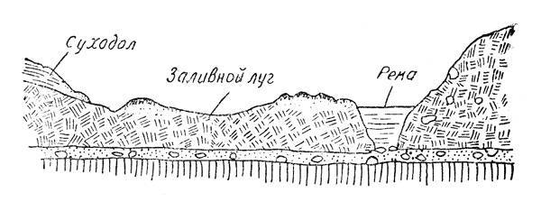 По тундрам, лесам, степям и пустыням _55.jpg