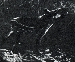 В краю гоацинов doc2fb_image_02000007.jpg