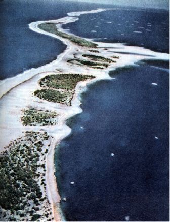 Австралия и острова Тихого океана _143.jpg