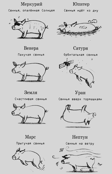 Джордж и Большой взрыв _7.jpg