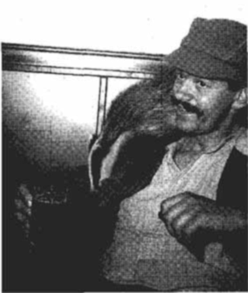 The Real James Herriot: A Memoir of My Father _24.jpg