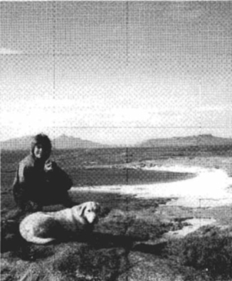 The Real James Herriot: A Memoir of My Father _29.jpg