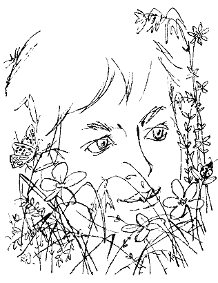 Рассказы прошлого лета i_001.png