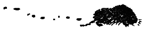 Рассказы и сказки i_030.png