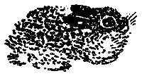 Рассказы и сказки i_037.png