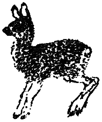 Рассказы и сказки i_038.png