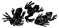 Рассказы и сказки i_050.png