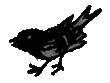 Рассказы и сказки i_052.png