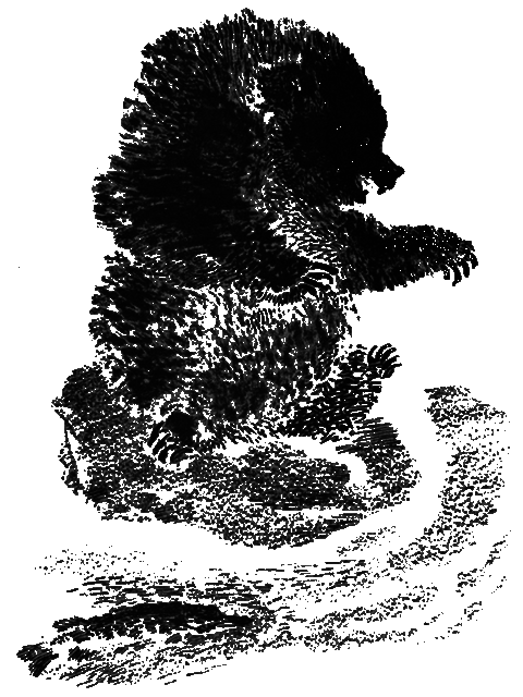 Рассказы и сказки i_060.png