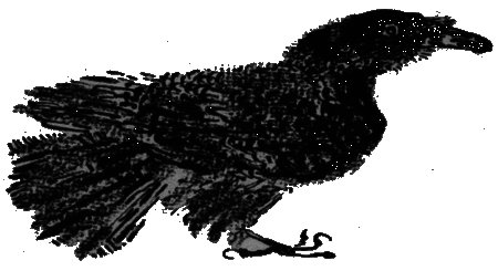 Рассказы и сказки i_067.png