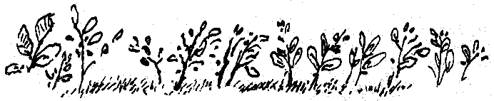 Рассказы и сказки i_069.png