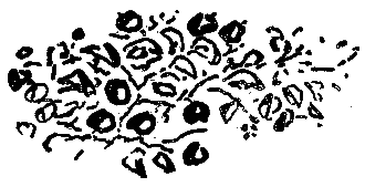 Рассказы и сказки i_070.png